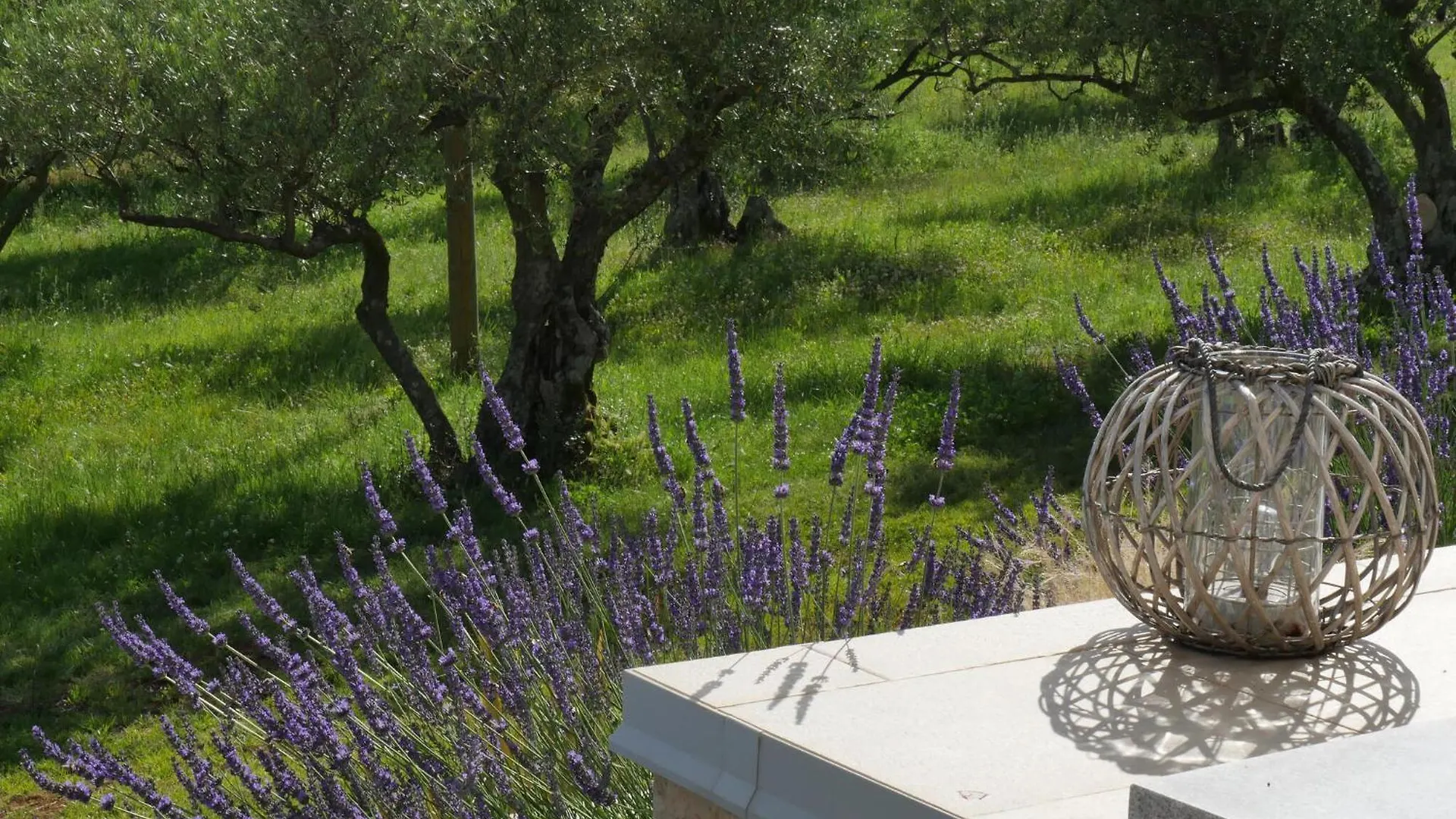 Feriehus Villa Christall Kaštelir